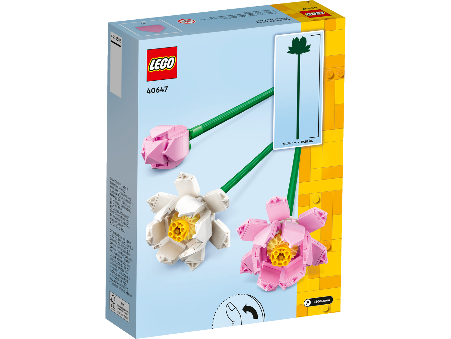 40647 Lotus Flowers