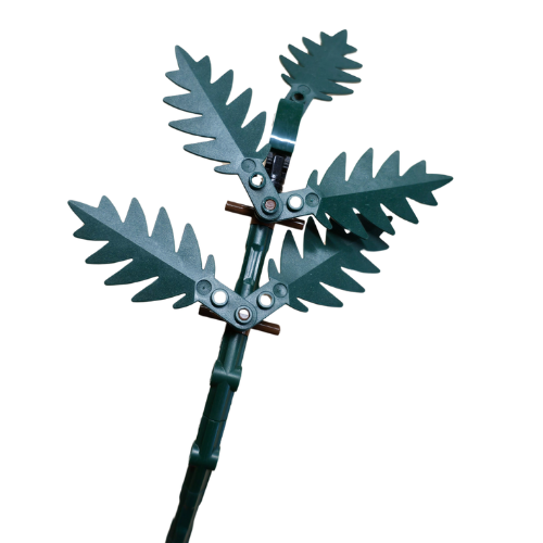 Leatherleaf Fern (2 pack)