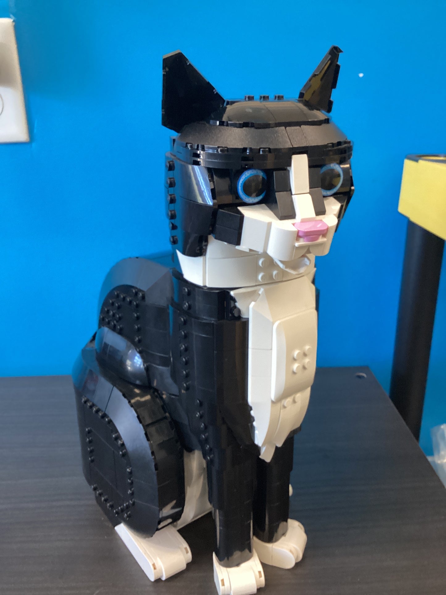 21349 Tuxedo Cat - USED