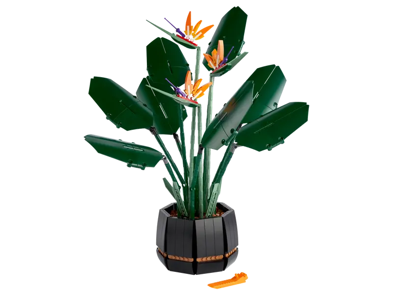 10289 Bird of Paradise