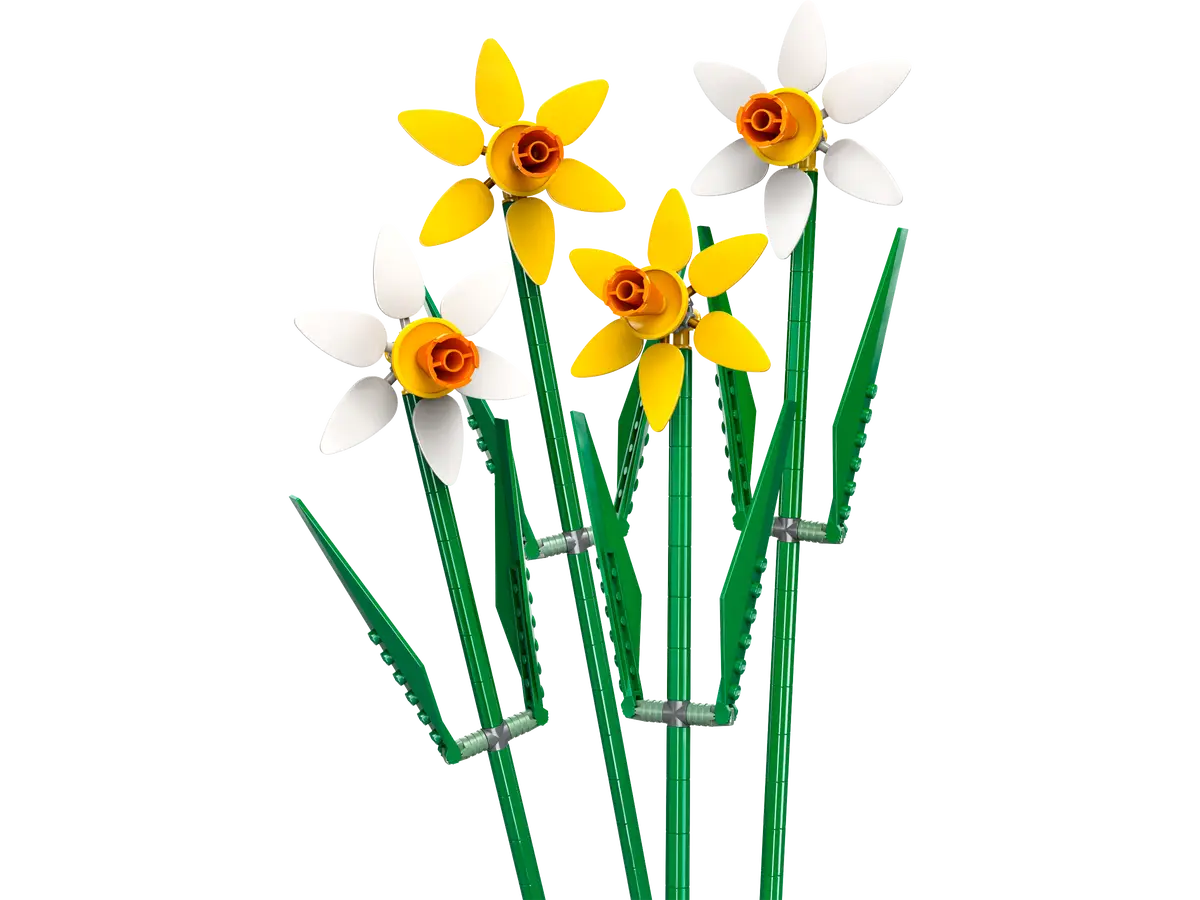 40747 Daffodils - CERTIFIED