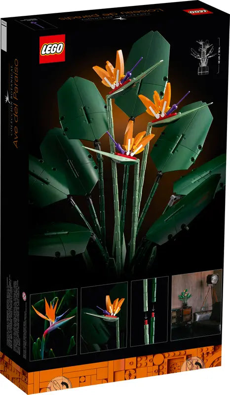 10289 Bird of Paradise