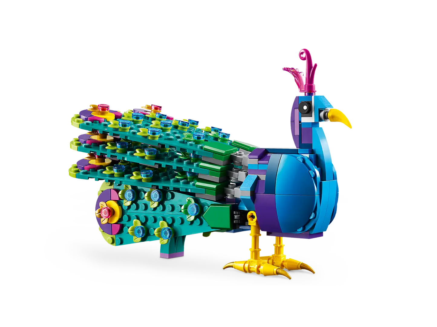 31157 Exotic Peacock