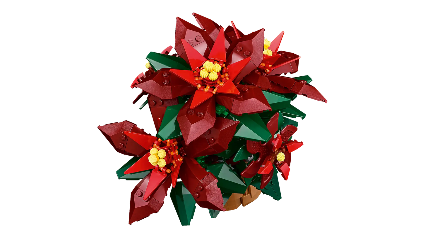 10370 Poinsettia