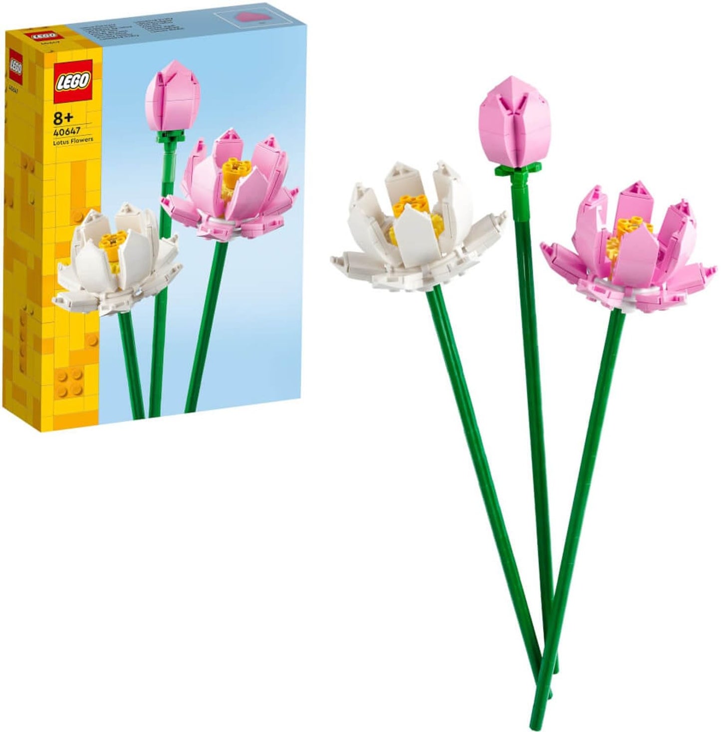 40647 Lotus Flowers
