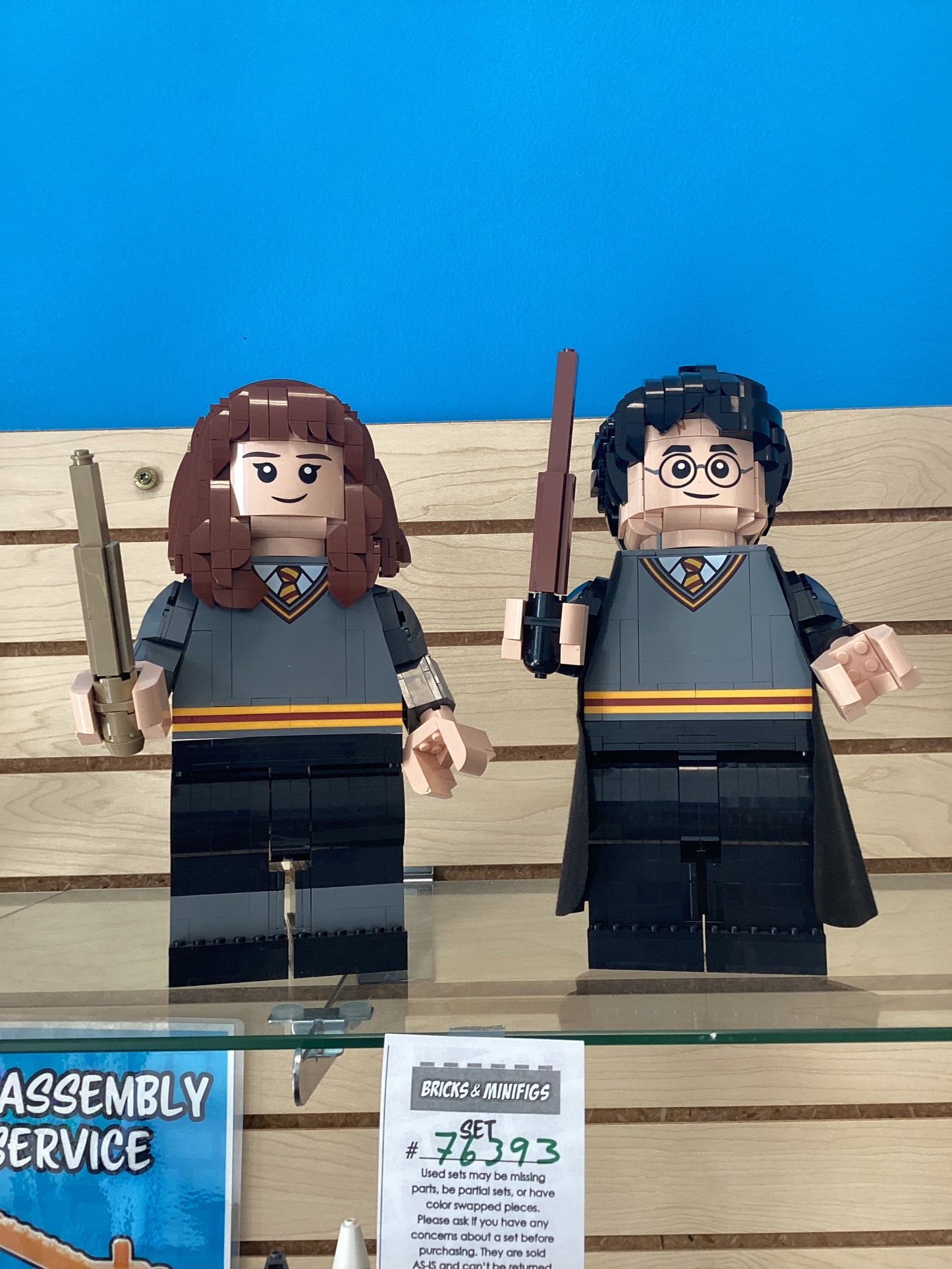76393 Harry Potter & Hermione Granger - USED