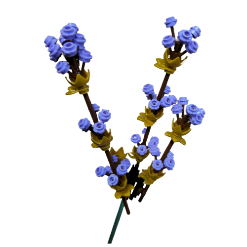 Large Fresh Purple Lavender