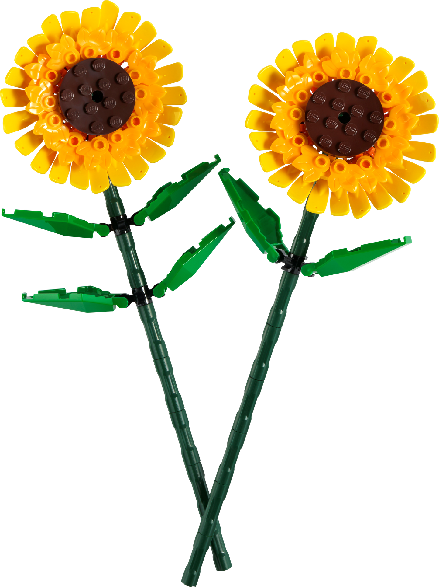 40524 Sunflowers