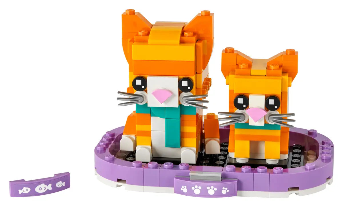 40480 Ginger Tabby