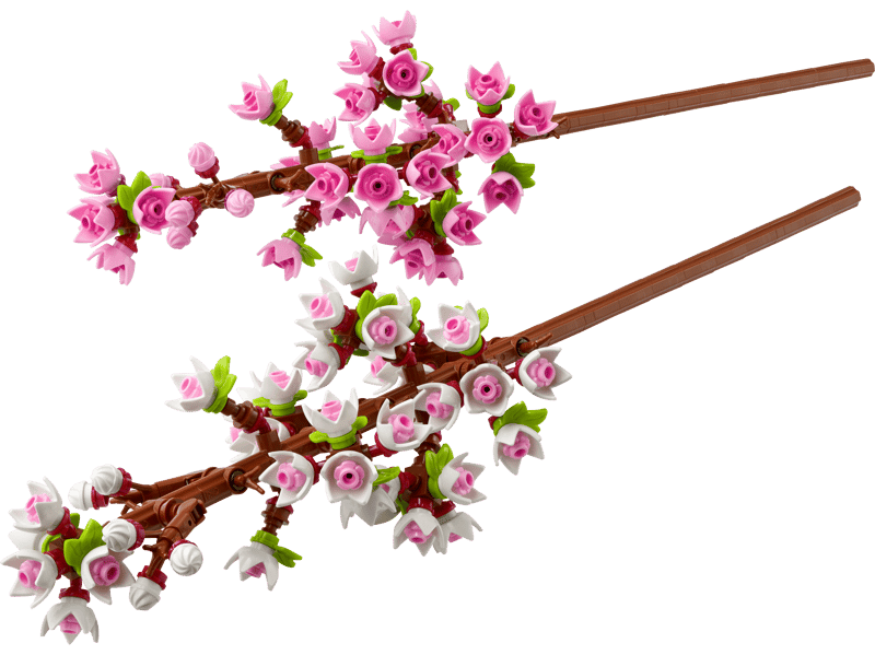 40725 Cherry Blossoms - CERTIFIED