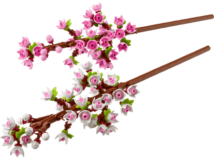 40725 Cherry Blossoms - CERTIFIED