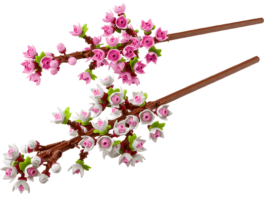 40725 Cherry Blossoms - CERTIFIED
