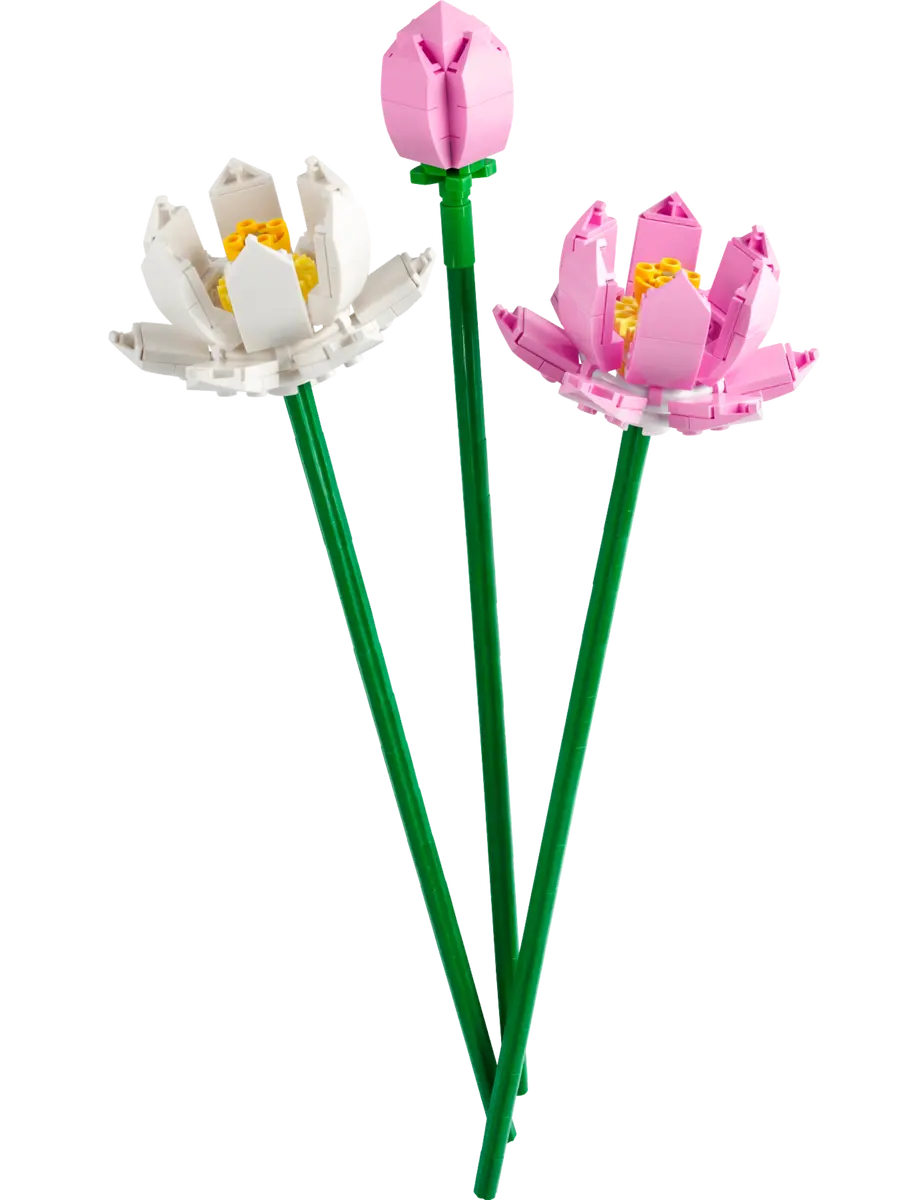 40647 Lotus Flowers - CERTIFIED