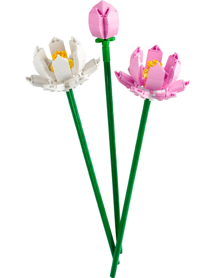 40647 Lotus Flowers - CERTIFIED