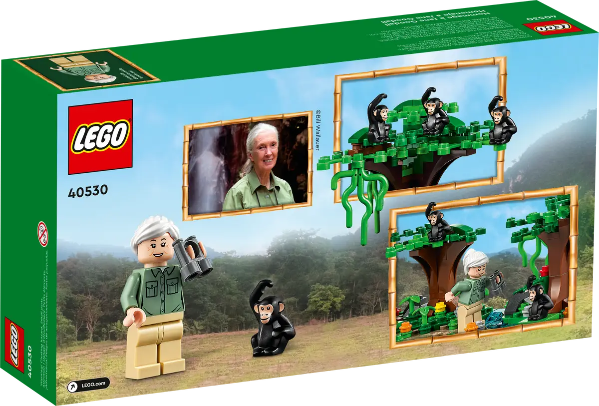 40530 Jane Goodall Tribute