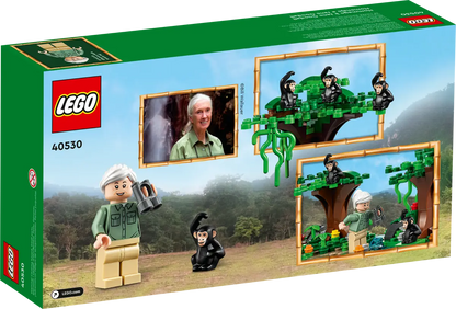 40530 Jane Goodall Tribute