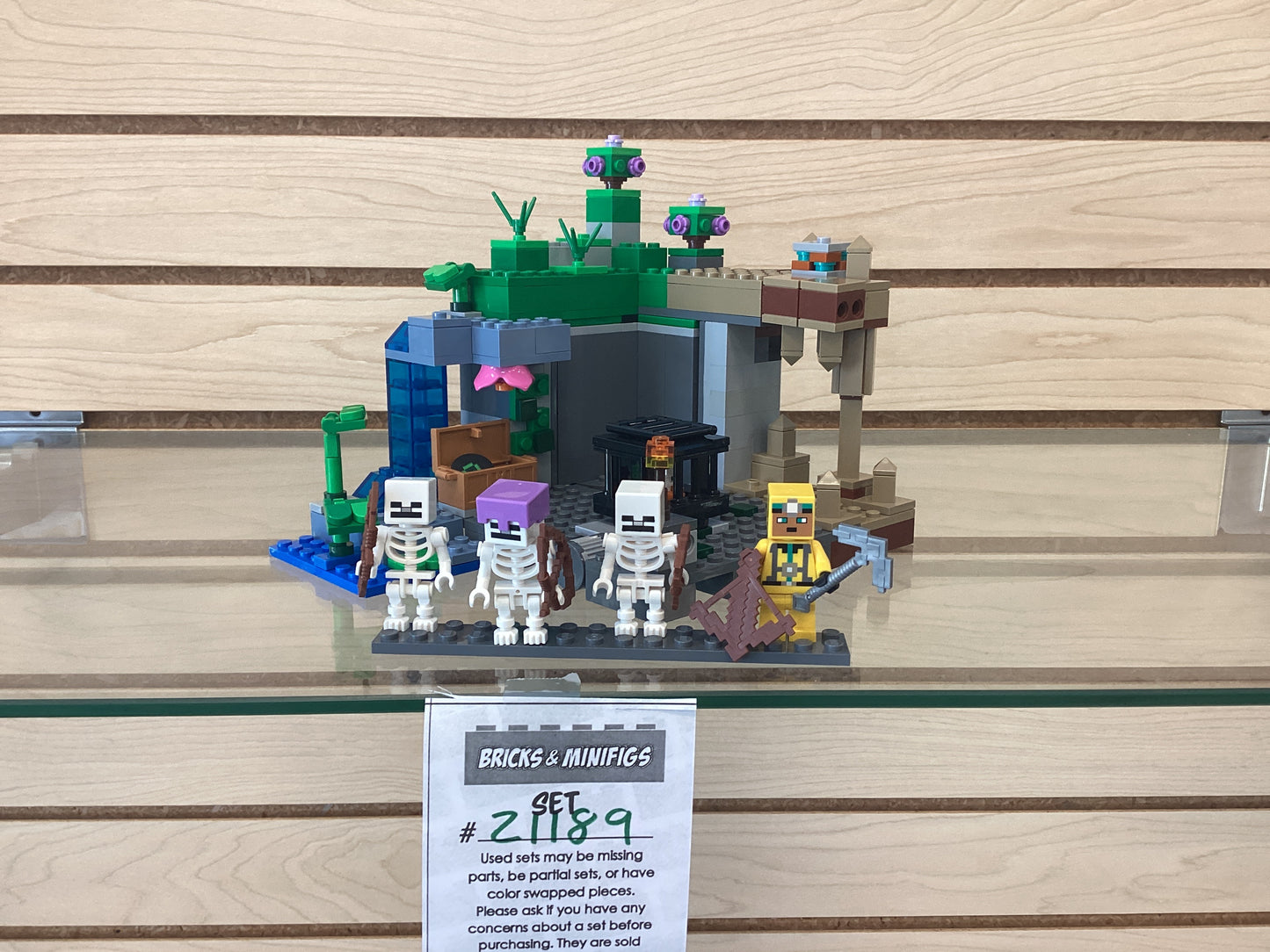 21189 The Skeleton Dungeon - USED