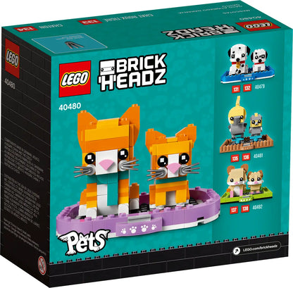 40480 Ginger Tabby
