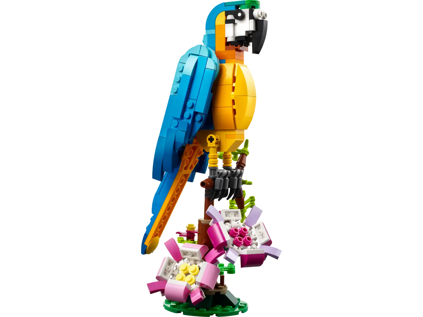 31136 Exotic Parrot