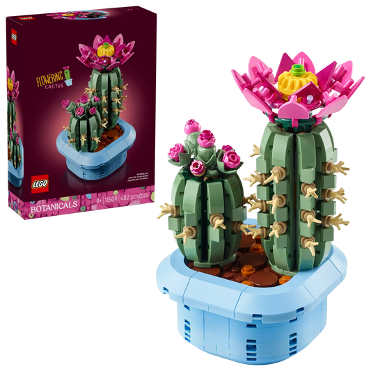 11509 Flowering Cactus