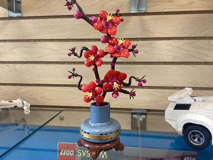 10369 Plum Blossom - USED