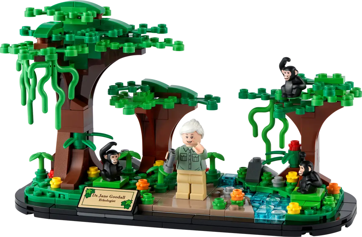 40530 Jane Goodall Tribute