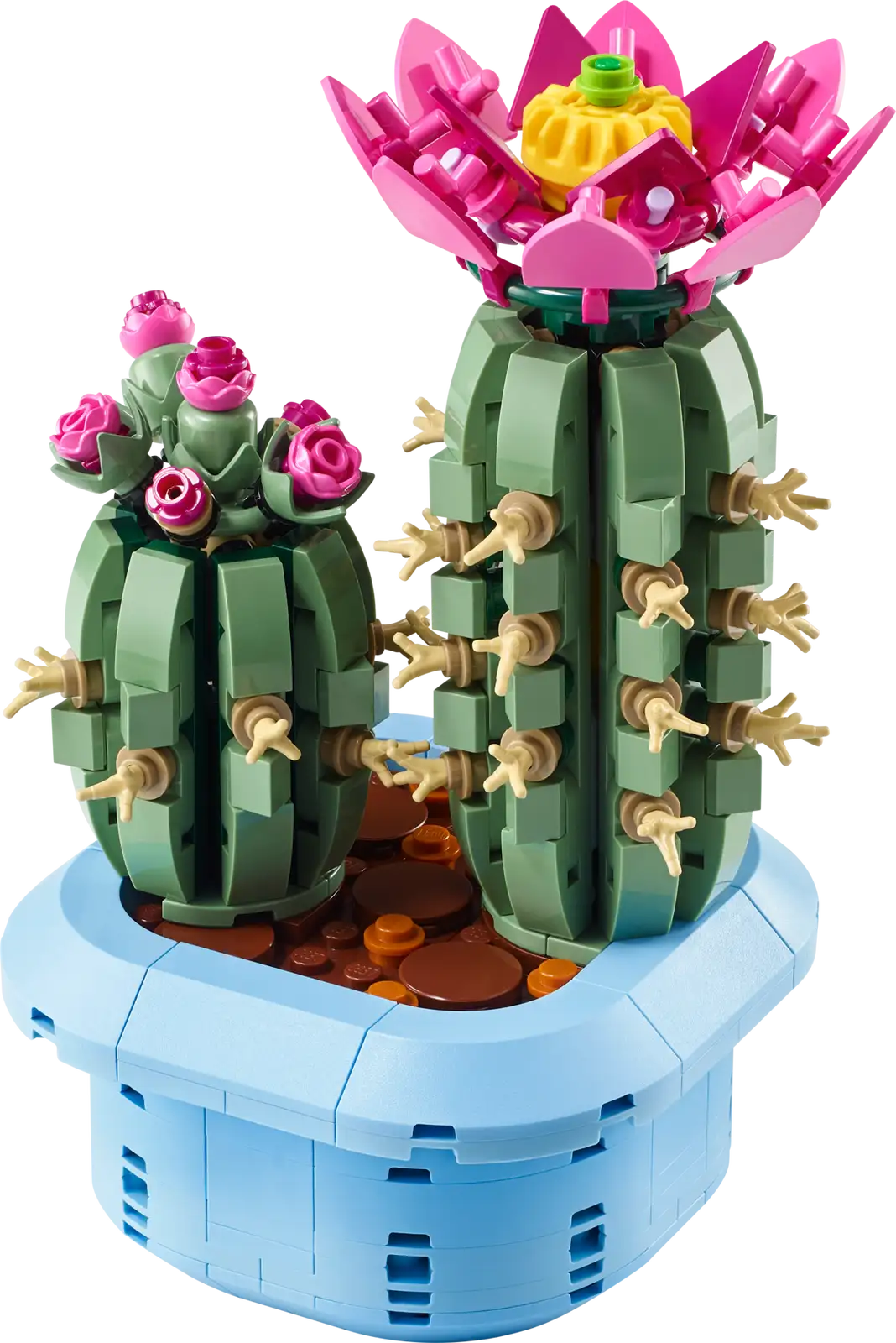 11509 Flowering Cactus