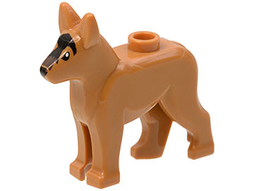 Dog - Alsatian / German Shepherd - Medium Nougat with Black Eyes, Nose, Blaze and Dark Brown Muzzle Pattern