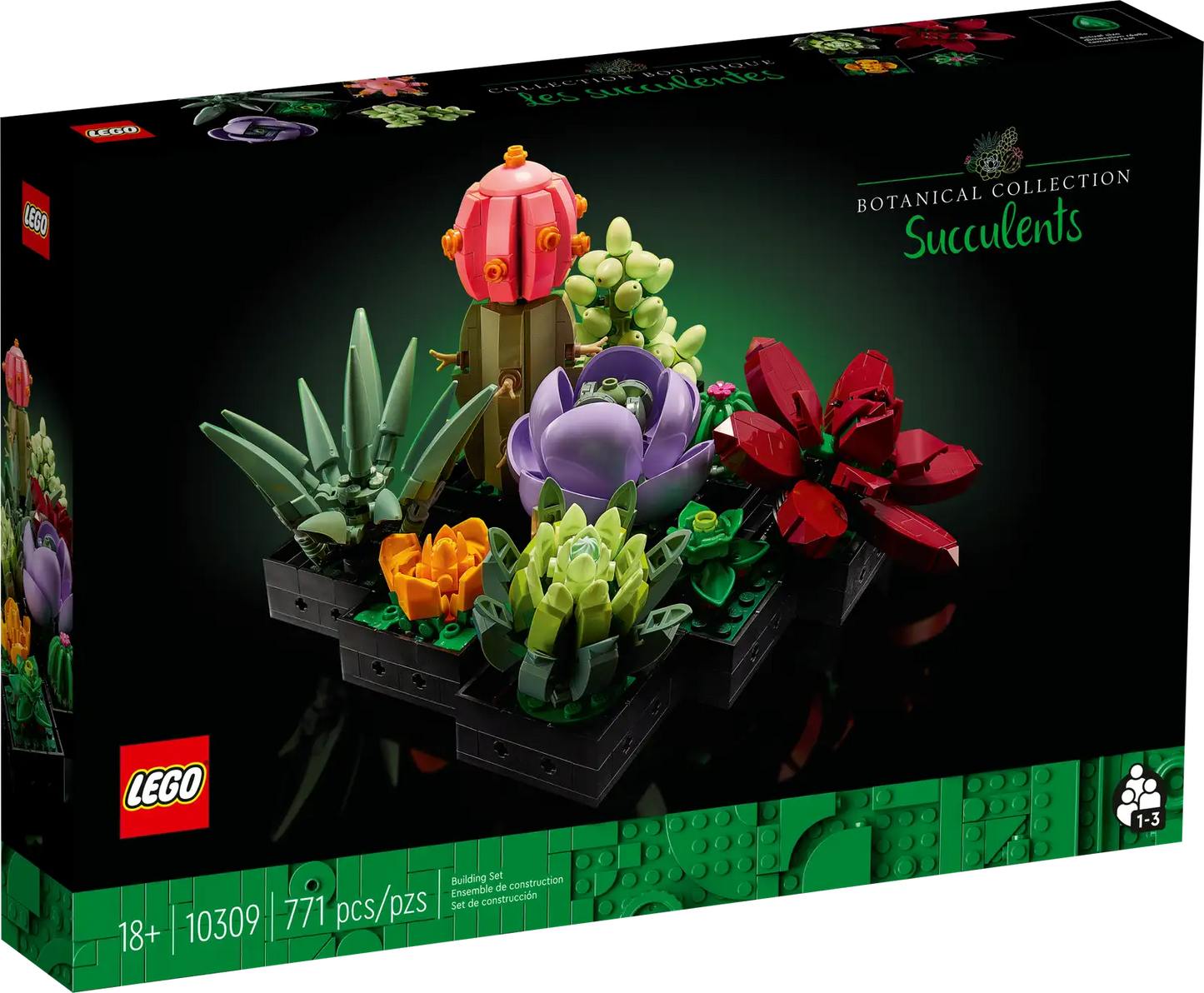 10309 Succulents