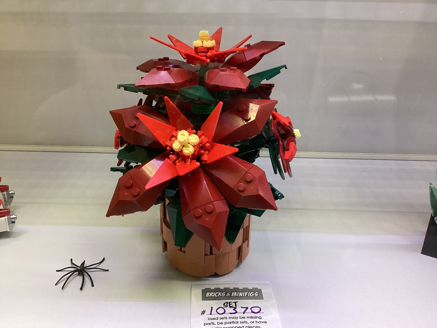 10370 Poinsettia - USED