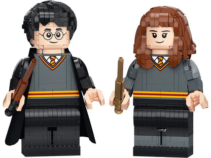 76393 Harry Potter & Hermione Granger