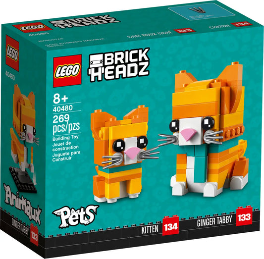 40480 Ginger Tabby