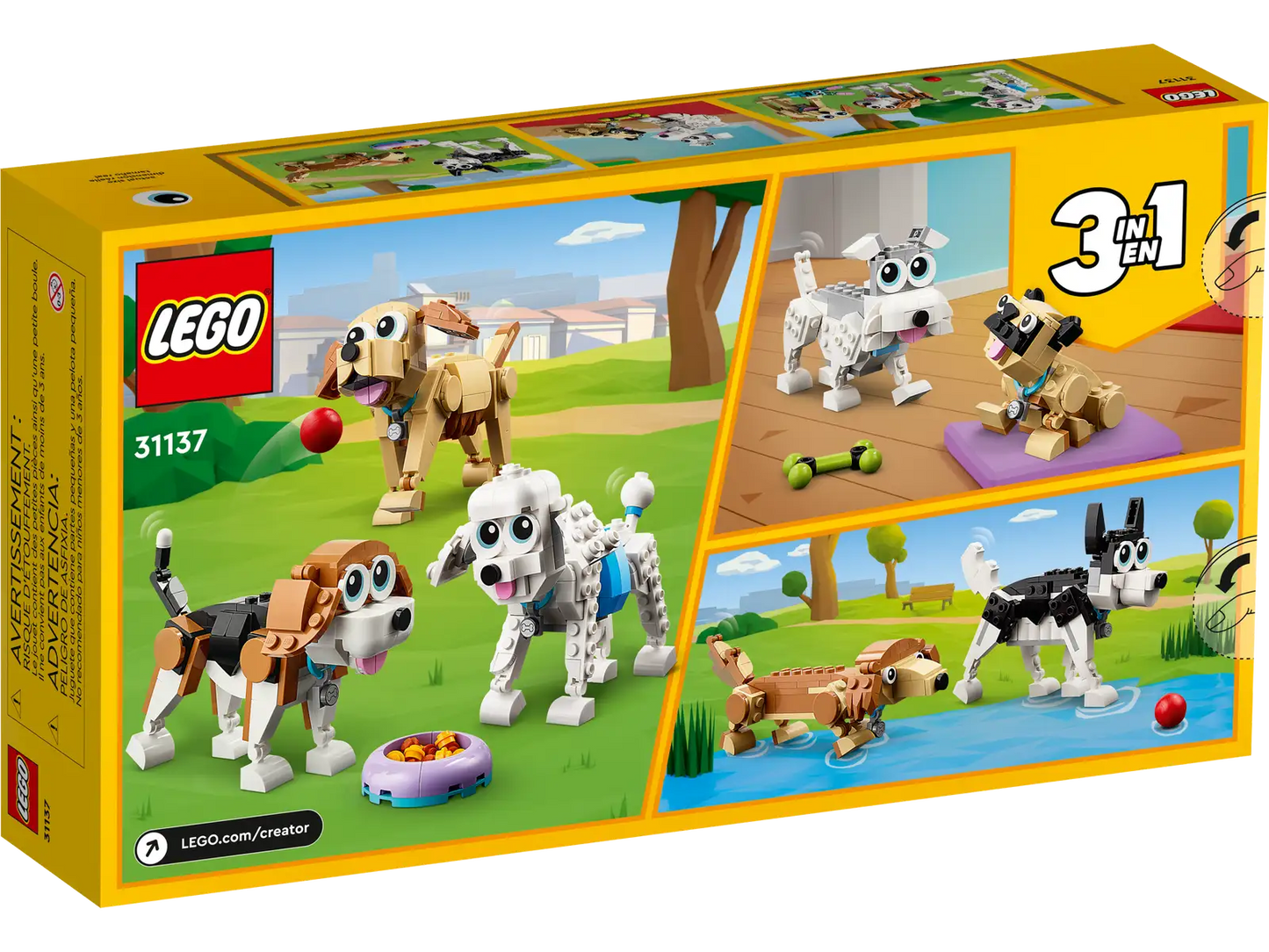 31137 Adorable Dogs
