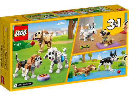 31137 Adorable Dogs